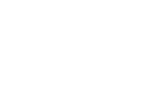 Black mamba